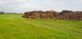 Part of dung heap in the field Royalty Free Stock Photo