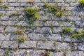 part of the embankment is made of stones and tiles