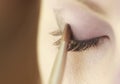 Part of face female eye makeup applying with brush Royalty Free Stock Photo