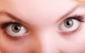 Part of face female eyes. Blonde girl wide eyed. Royalty Free Stock Photo