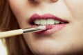Part of face. Woman applying pink lipstick with brush Royalty Free Stock Photo