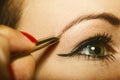 Part of face woman plucking eyebrows Royalty Free Stock Photo