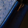 Part of female handbag with embossed under the skin of Ostrich, close-up. For dark background, backdrop, substrate Royalty Free Stock Photo
