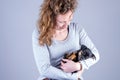 Part of a female, she lovingly holds a tiny sleeping Jack Russell Terrier puppy in her arms Royalty Free Stock Photo