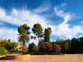 Part garden Generalife in Alhambra, Granada