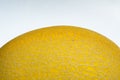 Part of golden cantalope on white background in narrow focus and bury some part of surface of it