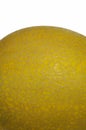 Part of golden cantalope on white background in narrow focus and bury some part of surface of it