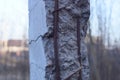 Part of a gray concrete broken pillar with rusty brown reinforcement rods Royalty Free Stock Photo