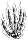 Part of the hand, bones, raised wrist of the skeleton Royalty Free Stock Photo