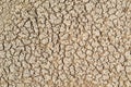 Part of a huge area dried land suffering from drought-in cracks. Dry water reservoir. Dry clay soil texture in the ground Royalty Free Stock Photo