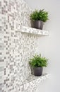 Part of interior with mosaic and green plants Royalty Free Stock Photo