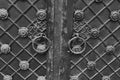 Part of the iron doors decorated with various decorative elements.