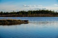 Part of the island on the lake. nature surprises Royalty Free Stock Photo