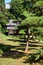 The part of the Japanese-style garden at the park of Tokyo Imperial Palace. Tokyo. Japan Royalty Free Stock Photo