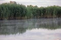 Part of the lake with water and dry reeds and grass near the shore. Early in the morning with fog on the water. Natural Wild Royalty Free Stock Photo