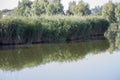 Part of the lake with water and dry reeds and grass near the shore. Early in the morning with fog on the water. Natural Wild Royalty Free Stock Photo