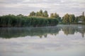 Part of the lake with water and dry reeds and grass near the shore. Early in the morning with fog on the water. Natural Wild Royalty Free Stock Photo