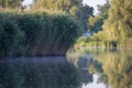 Part of the lake with water and dry reeds and grass near the shore. Early in the morning with fog on the water. Natural Wild Royalty Free Stock Photo