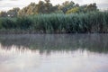 Part of the lake with water and dry reeds and grass near the shore. Early in the morning with fog on the water. Natural Wild Royalty Free Stock Photo