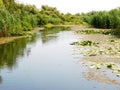 Part of the landscape Obedska pond