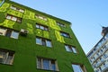 Part of a large green house with many windows on the sky Royalty Free Stock Photo