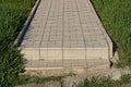 Part of an long alley of gray paving slabs among green grass Royalty Free Stock Photo