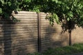 Part of a long rural fence of brown wooden planks Royalty Free Stock Photo