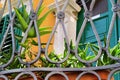 Part of metal decorative fence / Steel welding ornamental elements / Detail of modern architecture of Mediterranean style house i