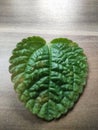 Part of Mint leaf macro images Royalty Free Stock Photo