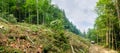 Part of a mountain slope during trees cut down Royalty Free Stock Photo