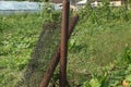 Part of an old broken fence made of brown rusty posts