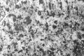 Part of old ceramic plate close-up in black and white Royalty Free Stock Photo