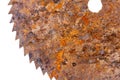 Part of old rusty circular saw blade