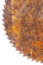 Part of old rusty circular saw blade