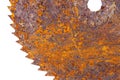 Part of old rusty circular saw blade