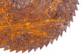 Part of old rusty circular saw blade