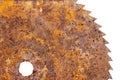 Part of old rusty circular saw blade