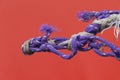 Purple nylon rope