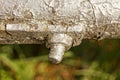 Part of an old white metal pipe with an iron bolt and nut Royalty Free Stock Photo