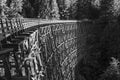 Part of the old wooden railway bridge bends and goes into the thicket of the forest. Black and white photo