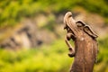 Part of old wooden viking boat in norwegian nature