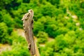 Part of old wooden viking boat in norwegian nature Royalty Free Stock Photo