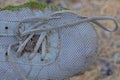 part of one old sneaker made of gray fabric overgrown with green moss Royalty Free Stock Photo