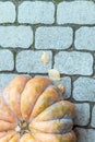 A part of a pumpkin