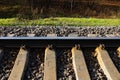 Part of the railroad with an iron rail and concrete sleepers in small gray rubble and green grass on the side of the road Royalty Free Stock Photo