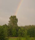 A part of a rainbow after the rain over the green trees and forest in a country side