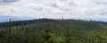 Bavarian Forest Regrown viewed from Peak Lusen