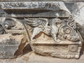 Part of relief (griffin)