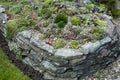 Part of a rock garden Royalty Free Stock Photo