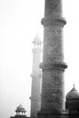 Part of Roof Top of Taj Mahal